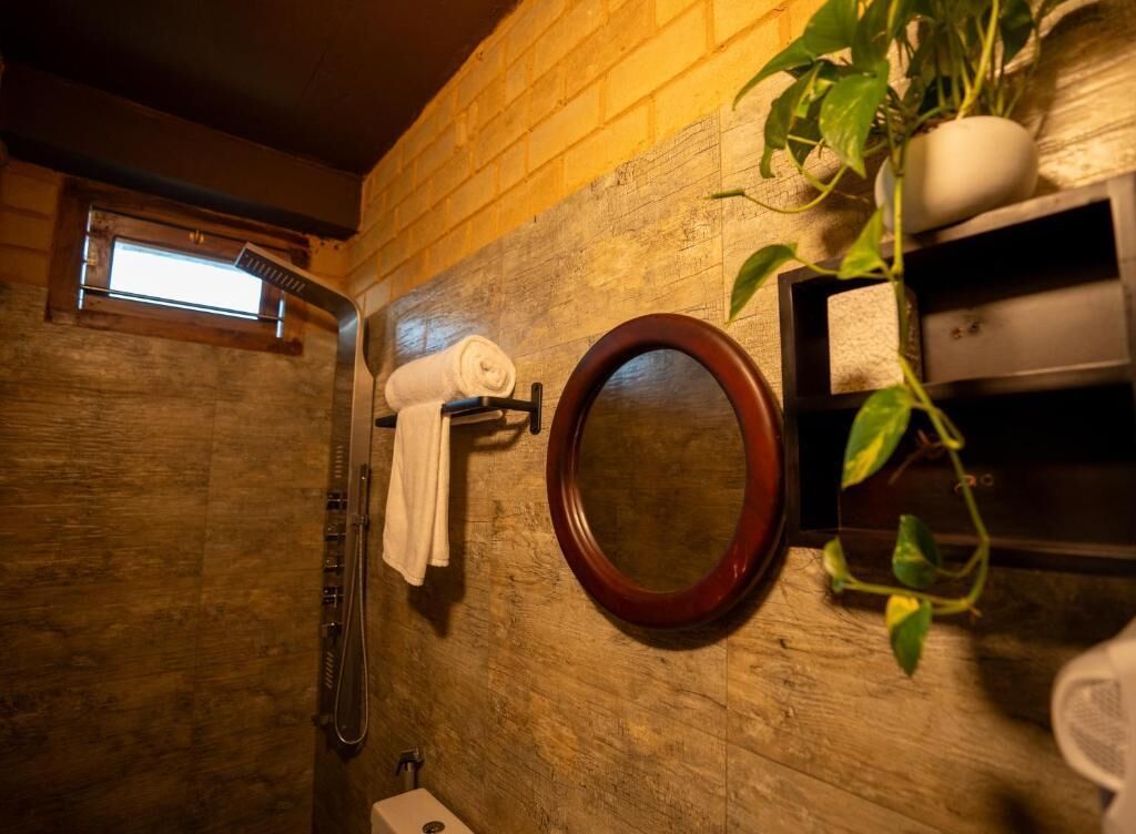 Shower, towels, soap, toilet paper