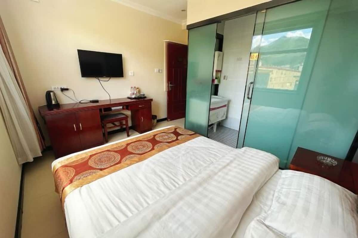A hotel room with a bed, a desk, a television, a wardrobe, and a view of a mountain.