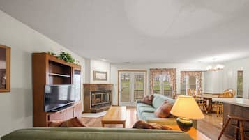 Fireplace, books, music library