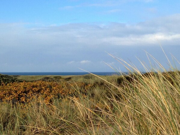 A coastal landscape with grassy dunes and a view of the sea.