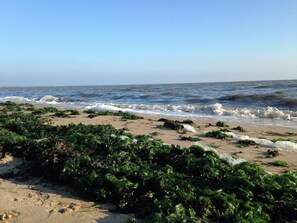 On the beach - House Captain Christiansen 53 (Westerland)