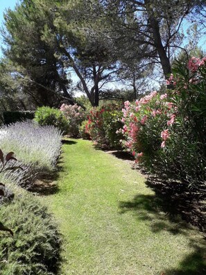 Áreas de la propiedad