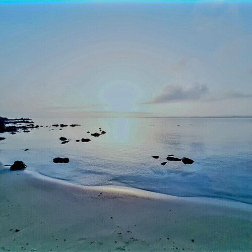 Riccardo's - Your House Near the Sea