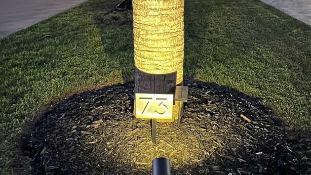 Un árbol con una placa numérica '73' en un área cubierta de césped y mantillo.