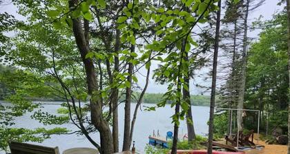 Treehouse overlooking the lake
