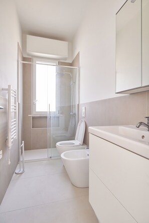 Shower, hair dryer, bidet, towels