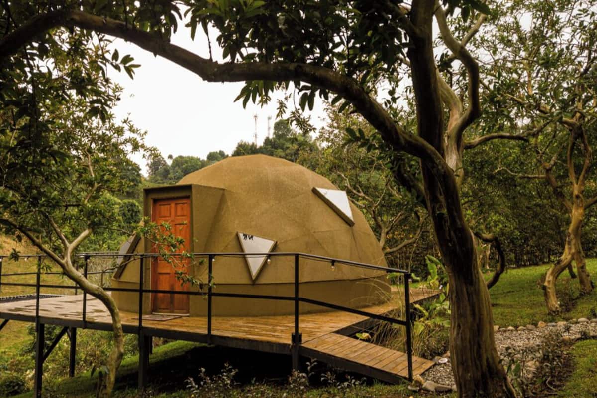 A geodesic dome structure with a wooden deck and a metal railing, surrounded by lush greenery.