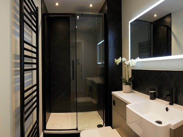 Shower, hair dryer