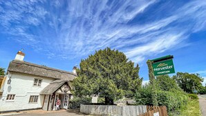 A white building with a thatched roof, a large tree in front, and a sign for Harvester Fountain.