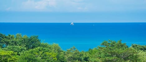 Vista del océano con un barco a lo lejos, rodeado de frondosa vegetación verde.