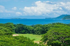 Vue sur la plage/l’océan