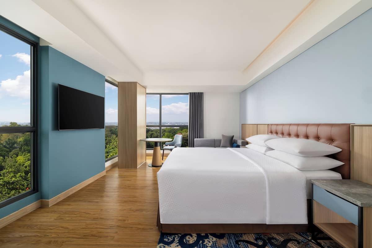 Suite, 1 trĂšs grand lit, vue ville