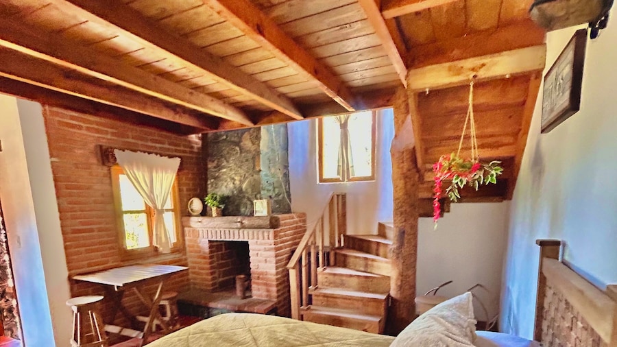 Finca la Patrona By Gestores