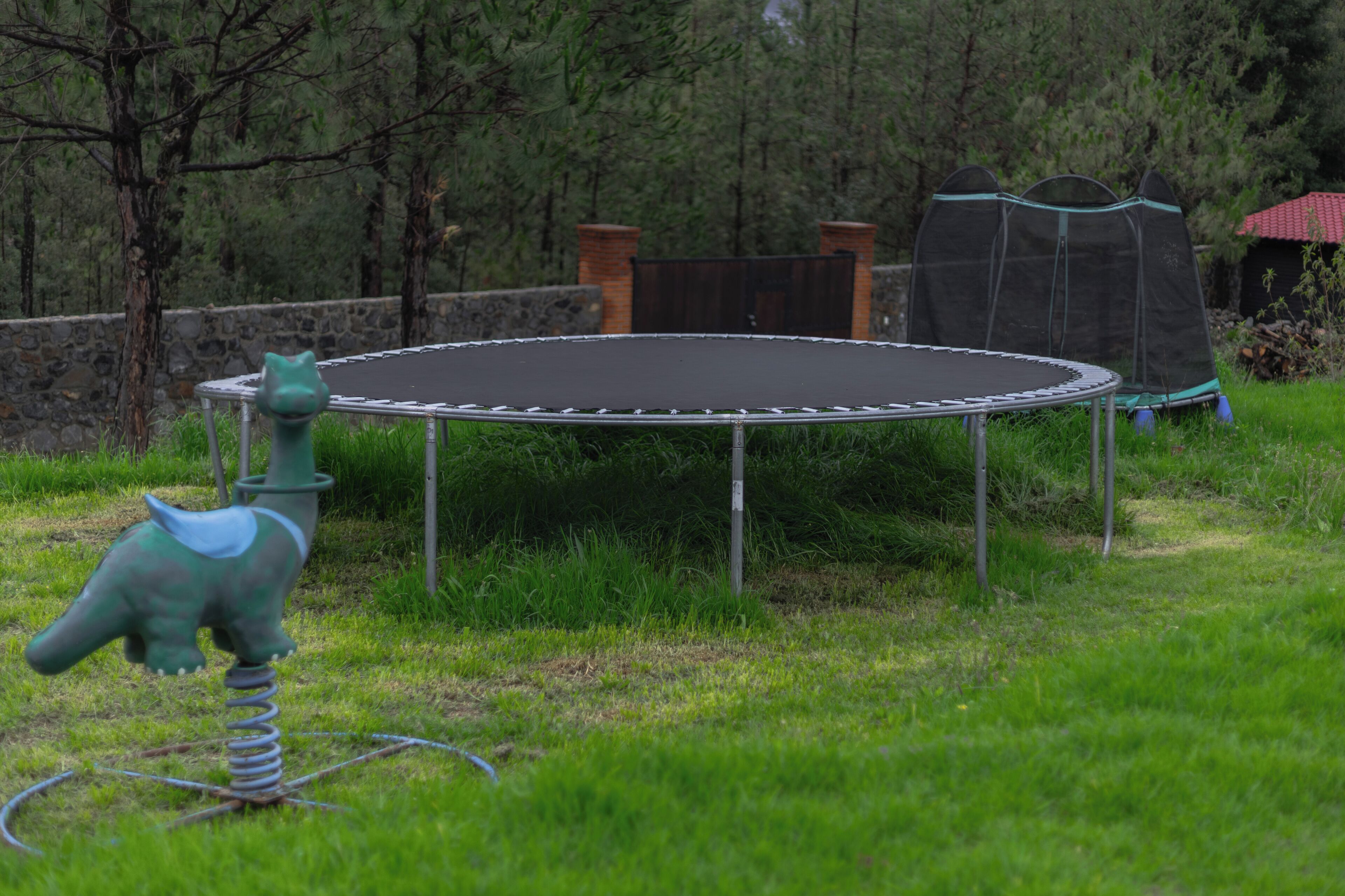 Un trampoline installé dans un espace herbeux, avec une sculpture de dinosaure en métal à proximité.