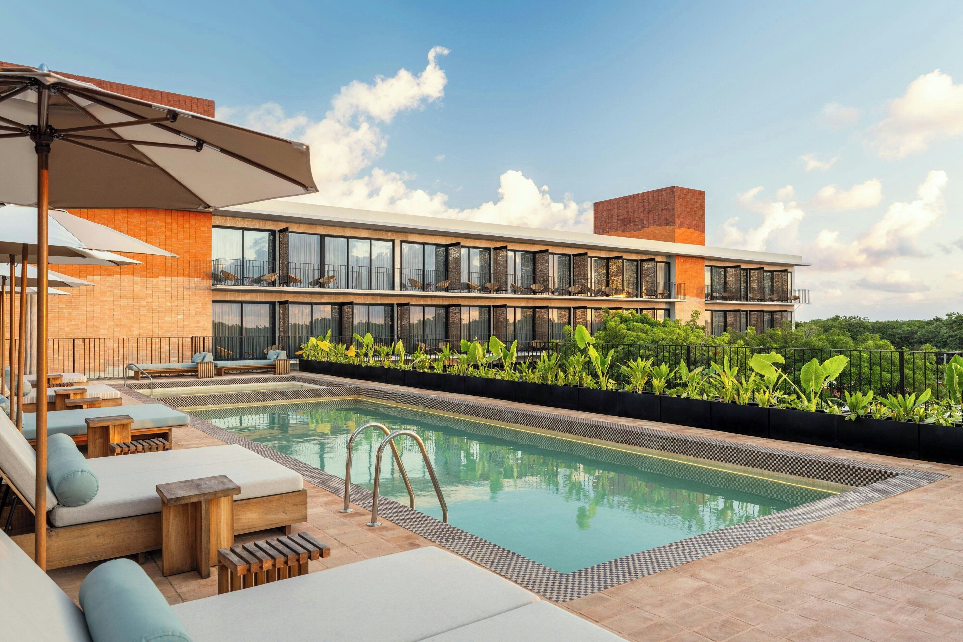 Outdoor pool, sun loungers