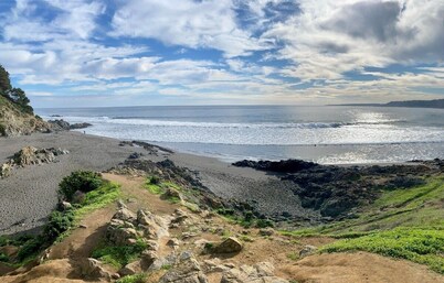 Olas de Buchupureo - con vida de campo