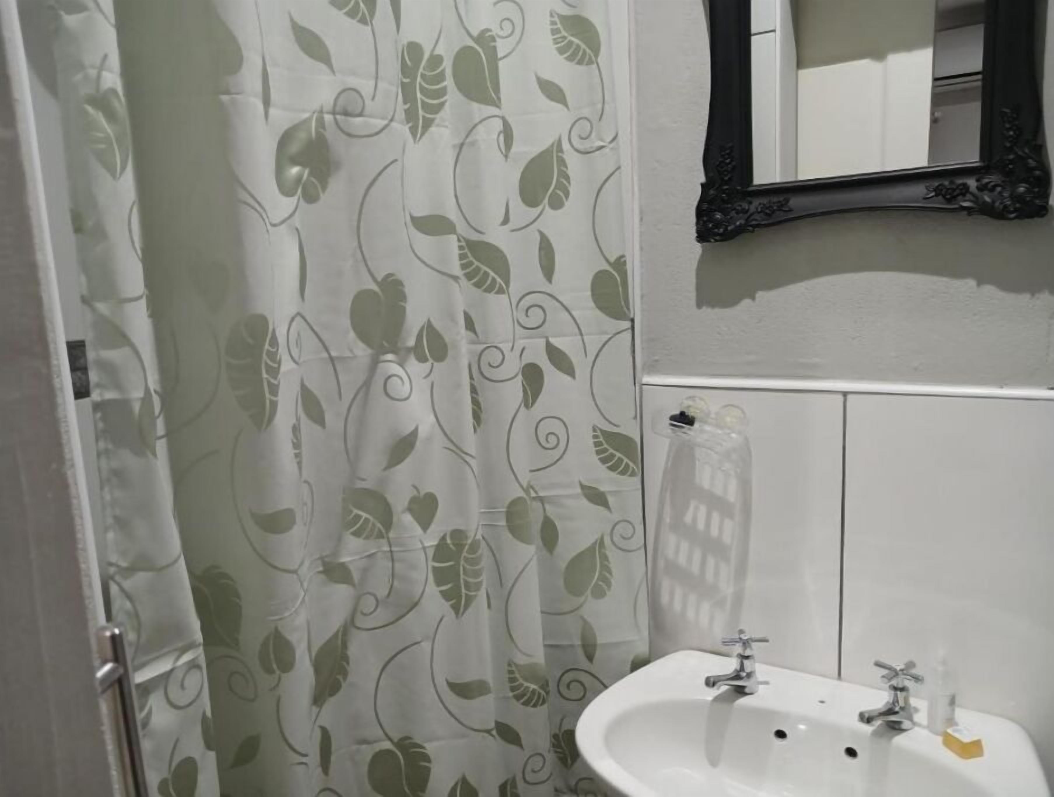Ein Badezimmer mit einem weißen Waschbecken, zwei Wasserhähnen, einem Spiegel mit aufwendigem Rahmen und einem Duschvorhang mit Blätermotiv.