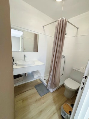 Douche, sèche-cheveux, serviettes fournies, papier toilette