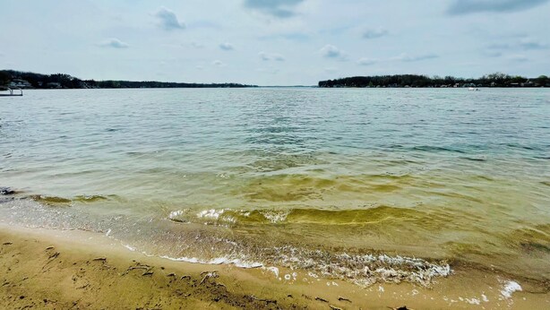 A beach with clear water, a sandy shore, and a distant tree line. - Comfortable 3-bedroom lake house with AC, WiFi on Devils Lake in Addison, MI. (Addison)