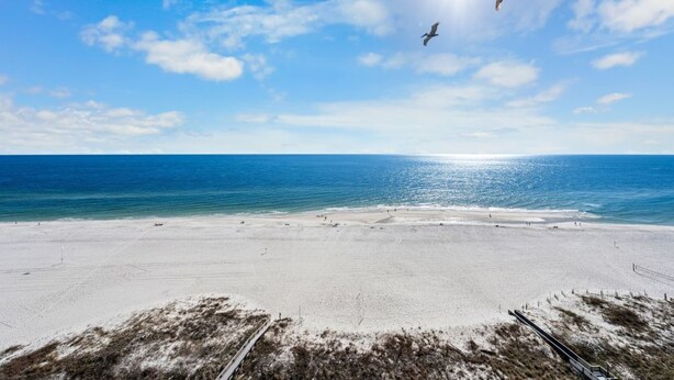 A beach with a clear sky, a sandy shore, and a bird flying overhead. - Windward Pointe 104 with Beach Access (Orange Beach)