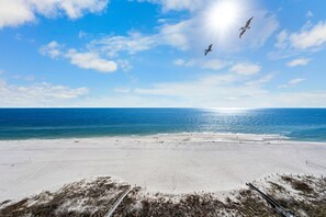 A beach with a clear sky, a sandy shore, and a bird flying overhead.