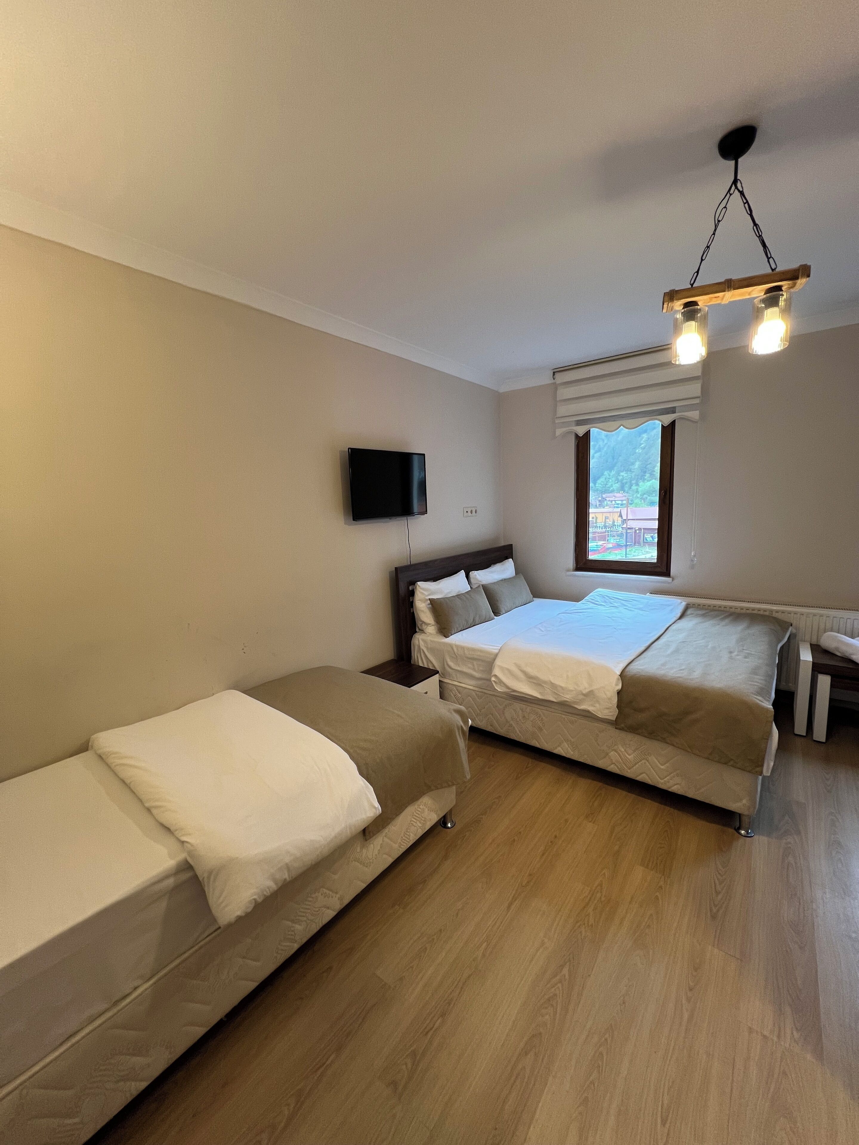 Une chambre avec deux lits, une télévision, une fenêtre donnant sur un beau paysage et un luminaire suspendu.