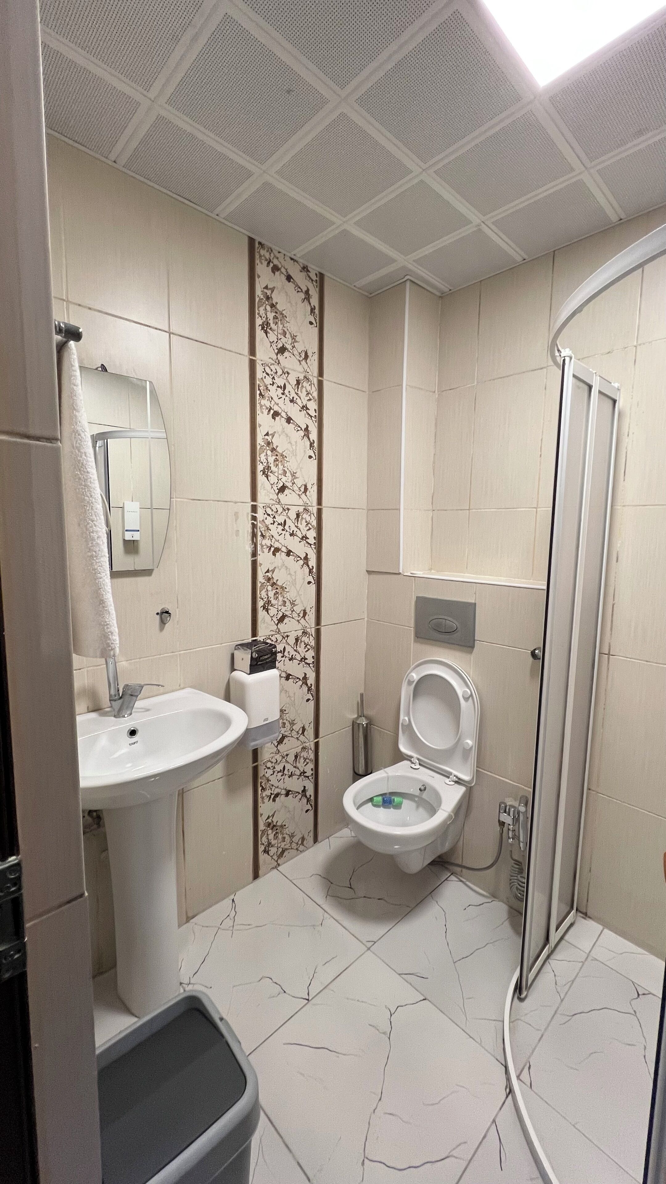 A bathroom with a toilet, sink, and shower.