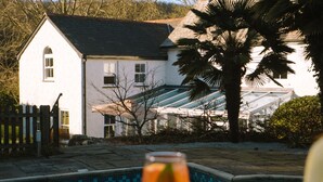 Blick auf einen Pool mit einem Haus im Hintergrund, einer Palme und einer Person, die ein Getränk hält.