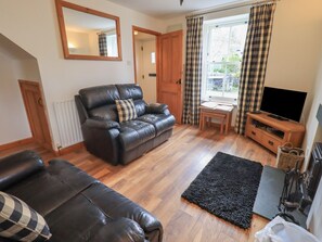 Fireplace, DVD player - Capella Cottage (Keswick)