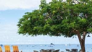 A beachside setting with lounge chairs and a large tree providing shade. - Modern Penthouse w/ Sweeping Ocean Views & Beach Club Access (Coco)