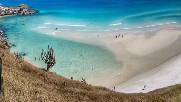 En kustnära strand med klart, turkosfärgat vatten, en sandstrand och gles vegetation.