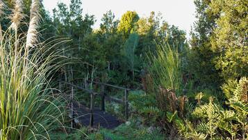 Een houten brug over een natuurlandschap met weelderige begroeiing en bomen.