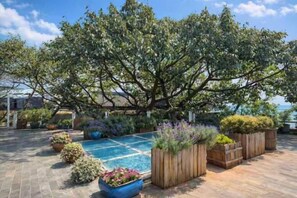 Garden - Heceng Qiyuan Art Hotel (Dali City)