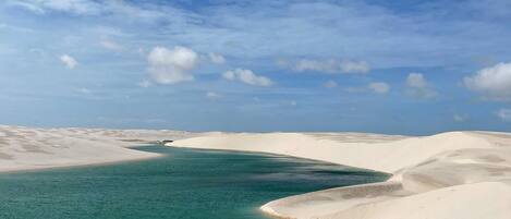 Playa
