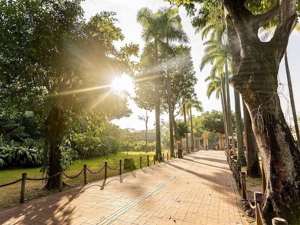 Áreas de la propiedad