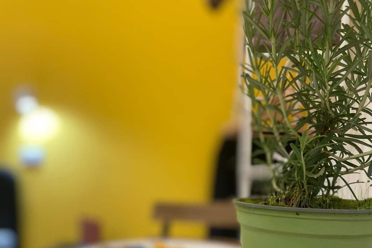 Lägenhet Comfort | 1 sovrum, skrivbord och gratis wi-fi