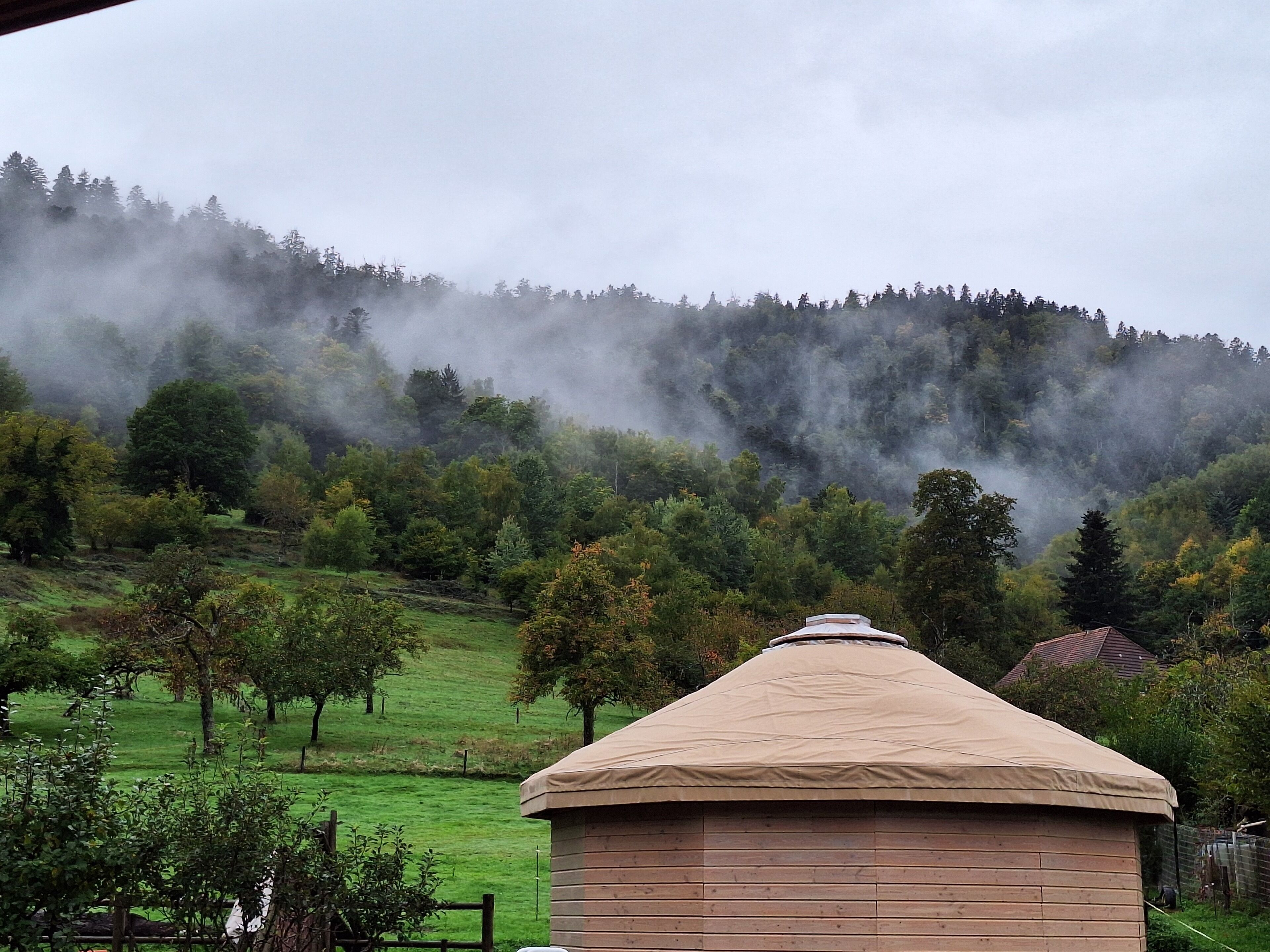 A traditional yurt with a conical roof, surrounded by a lush green landscape and a forested hill in the background.