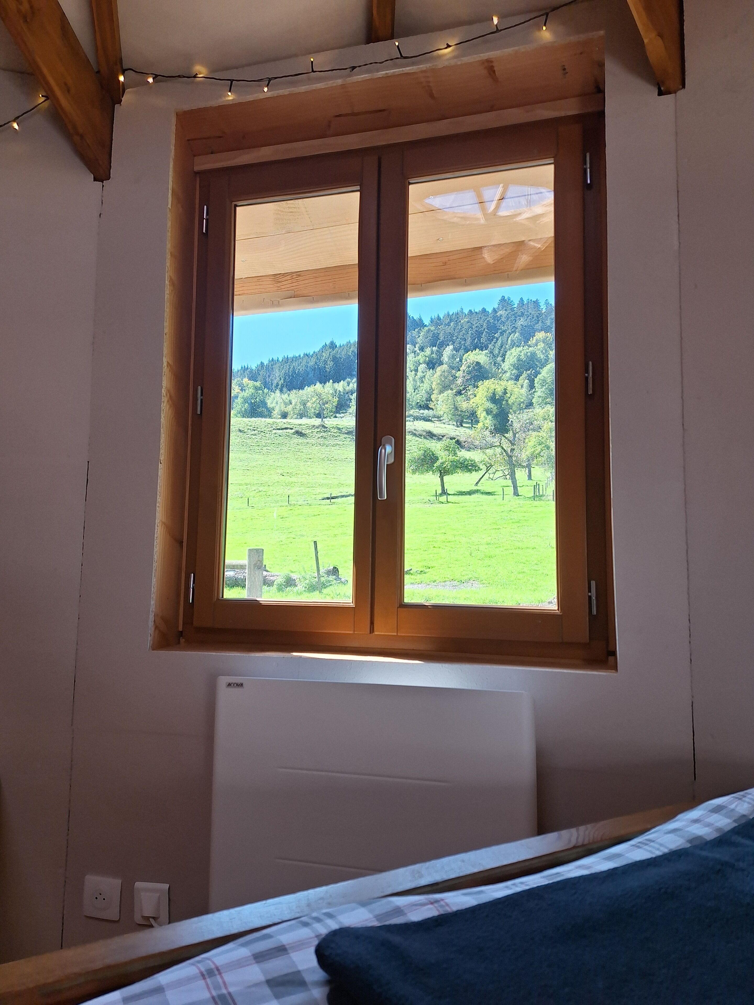A room with a large window overlooking a green landscape, a bed with a checkered bedspread, and a white radiator.