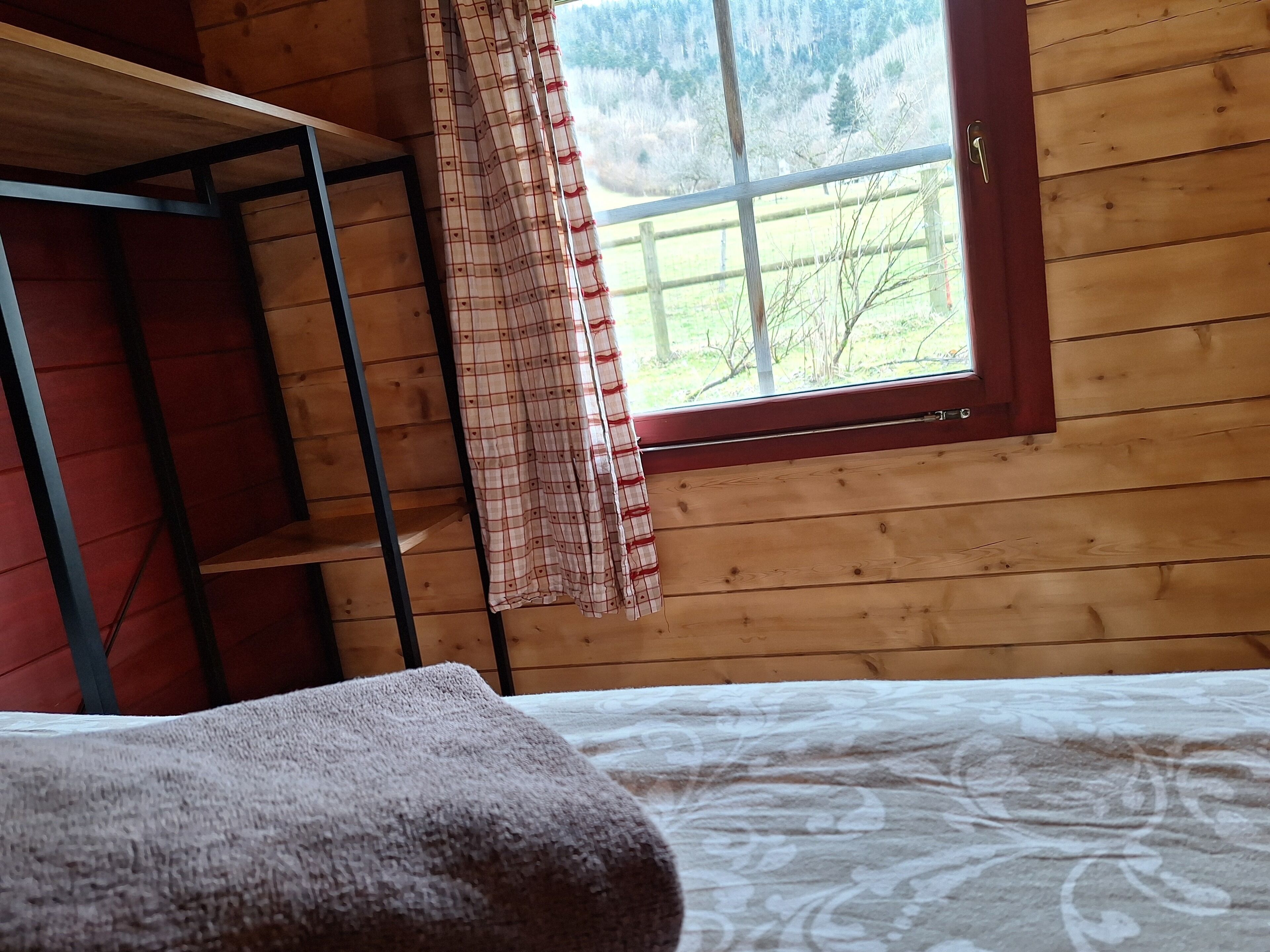 A room with a bunk bed, a window with a view of trees, and a curtain.