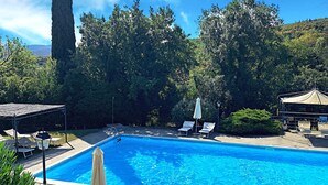 A swimming pool with lounge chairs and umbrellas, surrounded by greenery and a tall tree.