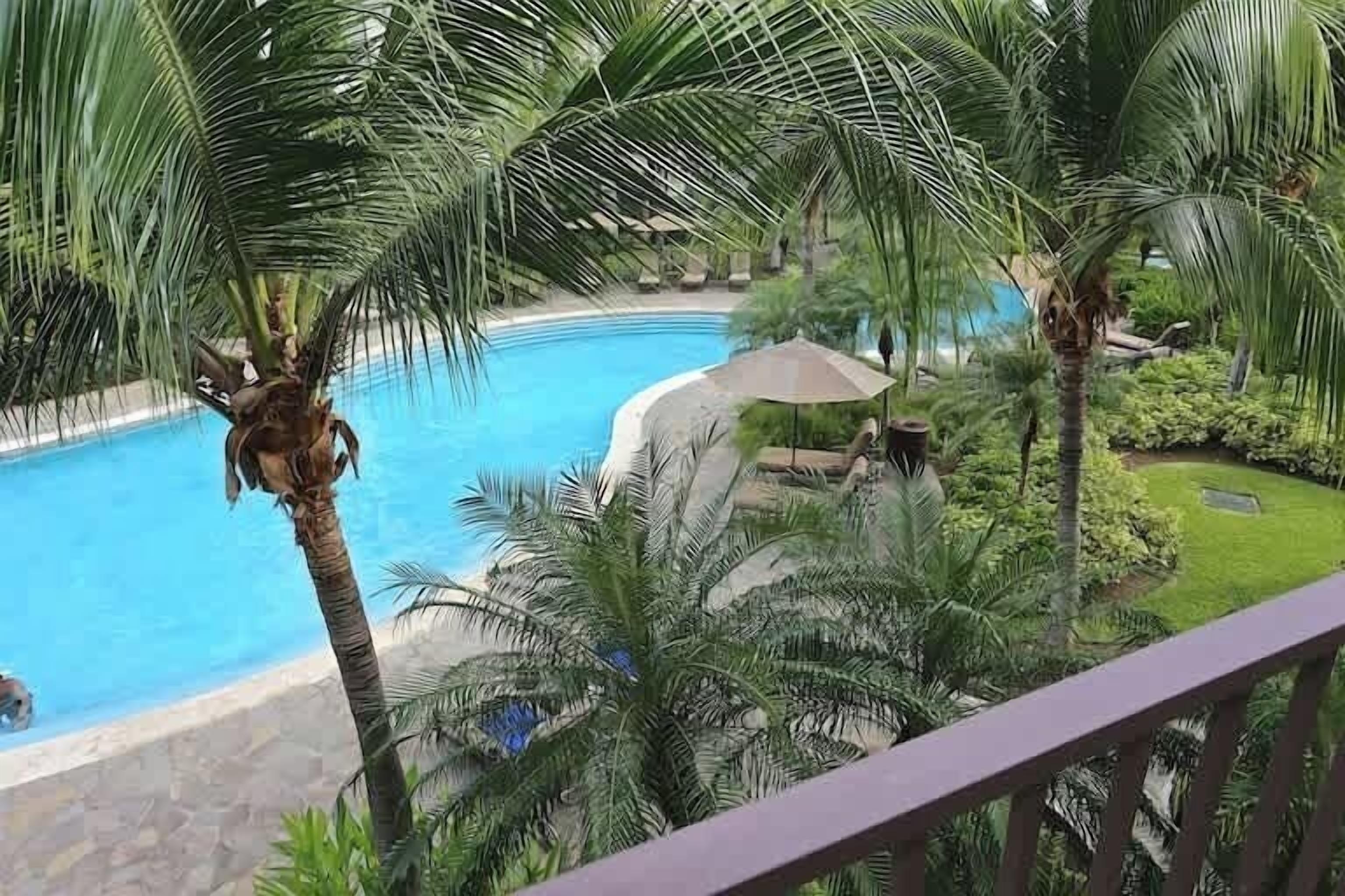 A pool surrounded by palm trees and a well-maintained lawn.