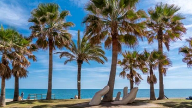 A beach with palm trees and a clear sky. - Happy Travel Jade Tower (Fuengirola)