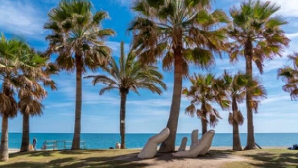 A beach with palm trees and a clear blue sky. - Happy Travel Jasmine Higueron (Fuengirola)
