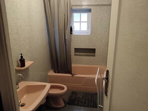 Haartrockner, Bidet