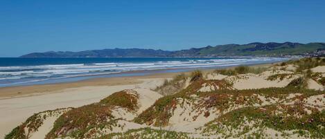 Playa