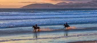 Pacific Plaza #509 Oceano Pismo Avila SLO