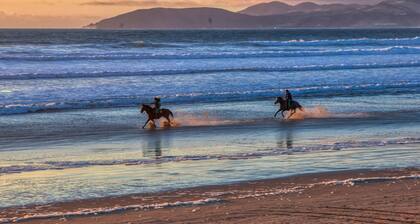 Pacific Plaza #509 Oceano Pismo Avila SLO