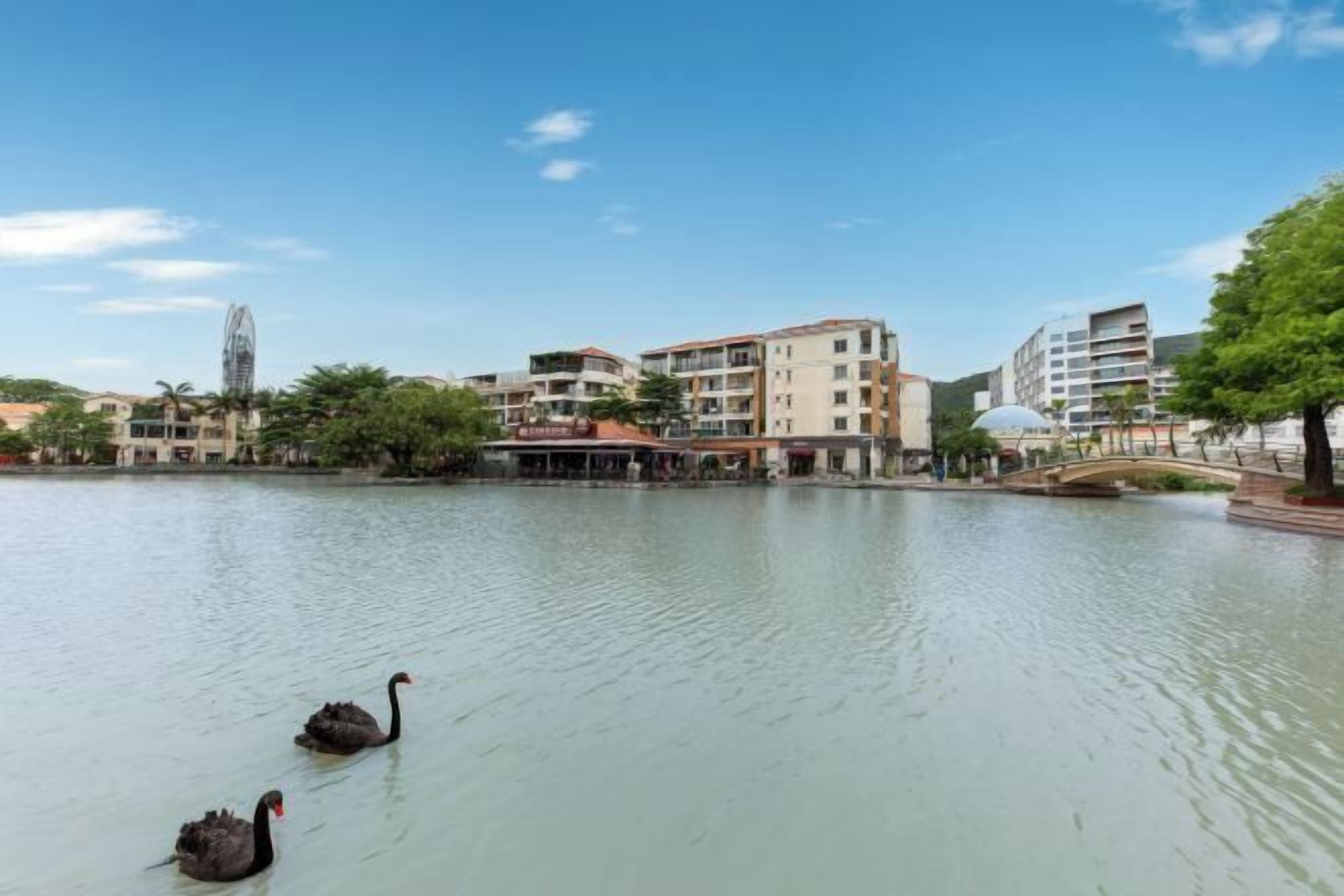 A lake with swans, surrounded by modern buildings and a bridge.