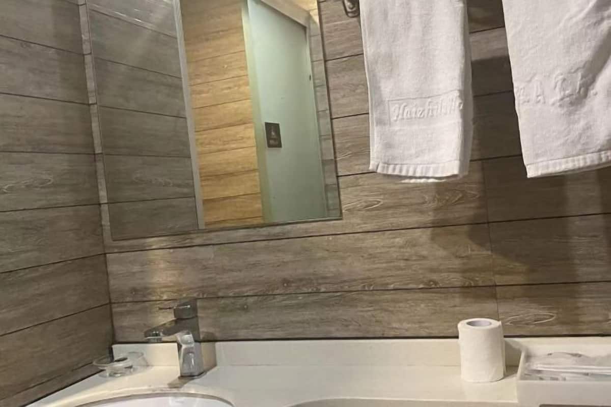 A bathroom with wooden paneling, a mirror, a sink, and a toilet paper holder.