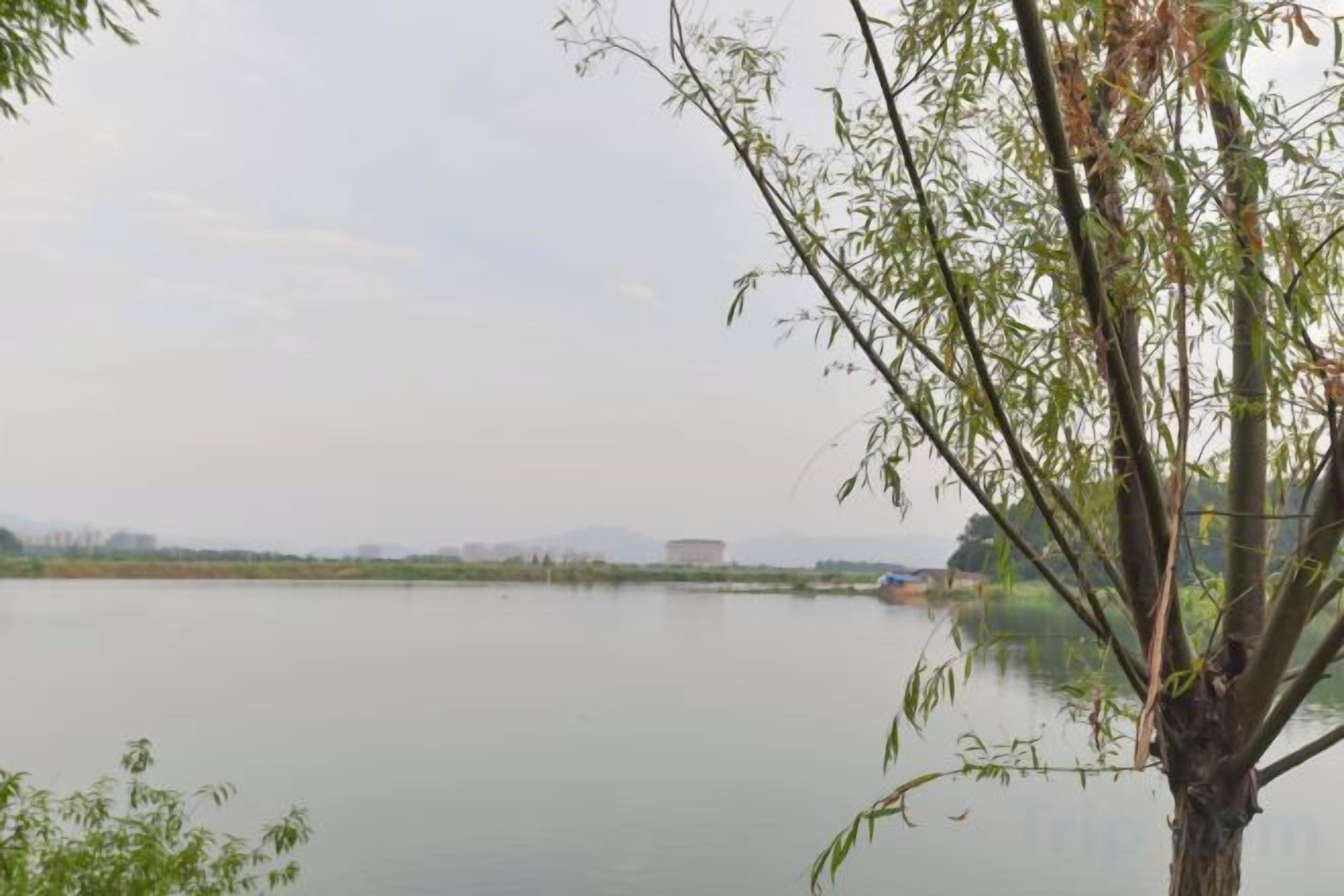 A calm body of water with a tree in the foreground and a distant building across the water.